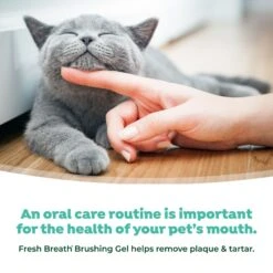 TropiClean Fresh Breath Cat Dental Kit -Pawfect Care 218553 PT6. AC SS1800 V1684524570