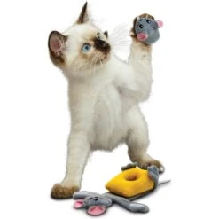KONG Pull-A-Partz Cheezy Cat Toy -Pawfect Care 219705 PT2. AC SS1800 V1631759876
