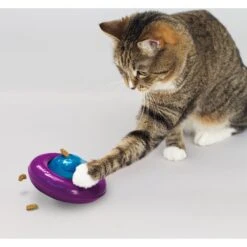 KONG Infused Cat Gyro Cat Toy -Pawfect Care 219716 PT2. AC SS1800 V1631773111