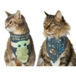 STAR WARS THE MANDALORIAN GROGU "Cutest Bounty" Reversible Dog & Cat Bandana -Pawfect Care 220290 PT2. AC SS1800 V1646443013