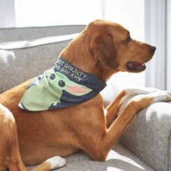 STAR WARS THE MANDALORIAN GROGU "Cutest Bounty" Reversible Dog & Cat Bandana -Pawfect Care 220290 PT7. AC SS1800 V1646442795