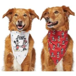 Disney Mickey Mouse & Minnie Mouse "Sweet As Can Be" Reversible Dog & Cat Bandana -Pawfect Care 220293 PT4. AC SS1800 V1637667456