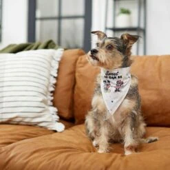 Disney Mickey Mouse & Minnie Mouse "Sweet As Can Be" Reversible Dog & Cat Bandana -Pawfect Care 220293 PT5. AC SS1800 V1637707356