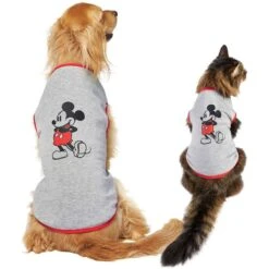 Disney Mickey Mouse & Minnie Mouse "Sweet As Can Be" Reversible Dog & Cat Bandana -Pawfect Care 220293 PT6. AC SS1800 V1633125118