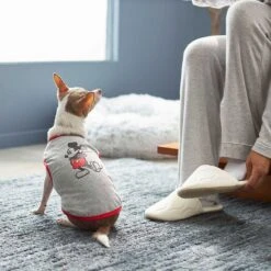 Disney Mickey Mouse & Minnie Mouse "Sweet As Can Be" Reversible Dog & Cat Bandana -Pawfect Care 220293 PT7. AC SS1800 V1633126030