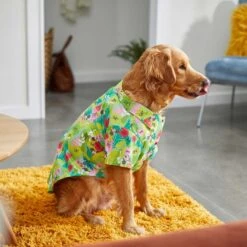 Disney Mickey Mouse Hawaiian Dog & Cat Camp Shirt -Pawfect Care 220317 PT6. AC SS1800 V1643835418