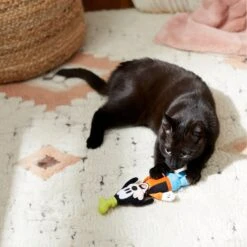 Disney Goofy Plush Kicker Cat Toy With Catnip -Pawfect Care 220705 PT2. AC SS1800 V1612365245