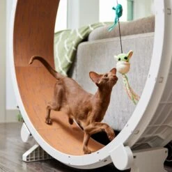 STAR WARS THE MANDALORIAN GROGU Teaser Wand Cat Toy With Catnip -Pawfect Care 220787 PT3. AC SS1800 V1624648656