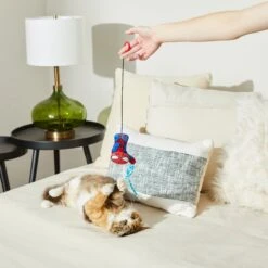 Marvel 's Spider-Man Bouncy Cat Toy With Catnip -Pawfect Care 220882 PT3. AC SS1800 V1621383267