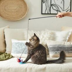 Marvel 's Spider-Man Teaser Cat Toy With Catnip -Pawfect Care 220890 PT3. AC SS1800 V1621383280