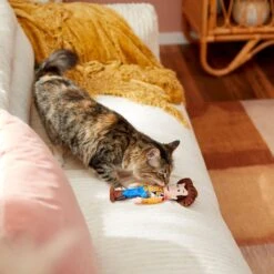 Pixar Woody Plush Kicker Cat Toy With Catnip -Pawfect Care 221063 PT2. AC SS1800 V1612366276
