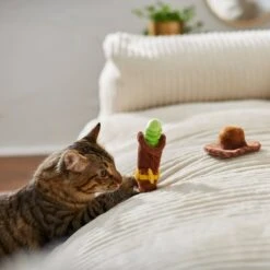 Pixar Woody's Accessories Plush Cat Toy With Catnip, 2 Count -Pawfect Care 221073 PT3. AC SS1800 V1624648789