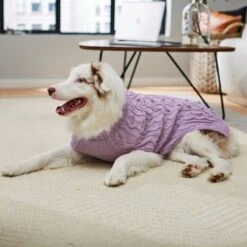 Frisco Bobble-Knit Dog & Cat Turtleneck Sweater -Pawfect Care 223763 PT7. AC SS1800 V1599565272