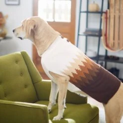 Frisco Gradient Diamond Dog & Cat Sweater -Pawfect Care 223778 PT7. AC SS1800 V1601580063