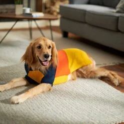 Frisco Colorblock Dog & Cat Turtleneck Sweater With Sleeves -Pawfect Care 223819 PT7. AC SS1800 V1599922008