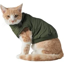 Frisco Lightweight Insulated Bomber Dog & Cat Jacket -Pawfect Care 223914 PT2. AC SS1800 V1599480960