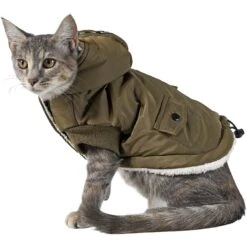 Frisco Mid-Heavyweight Love Insulated Dog & Cat Coat -Pawfect Care 224034 PT2. AC SS1800 V1599498998