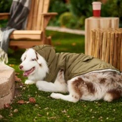 Frisco Mid-Heavyweight Love Insulated Dog & Cat Coat -Pawfect Care 224034 PT7. AC SS1800 V1601578266
