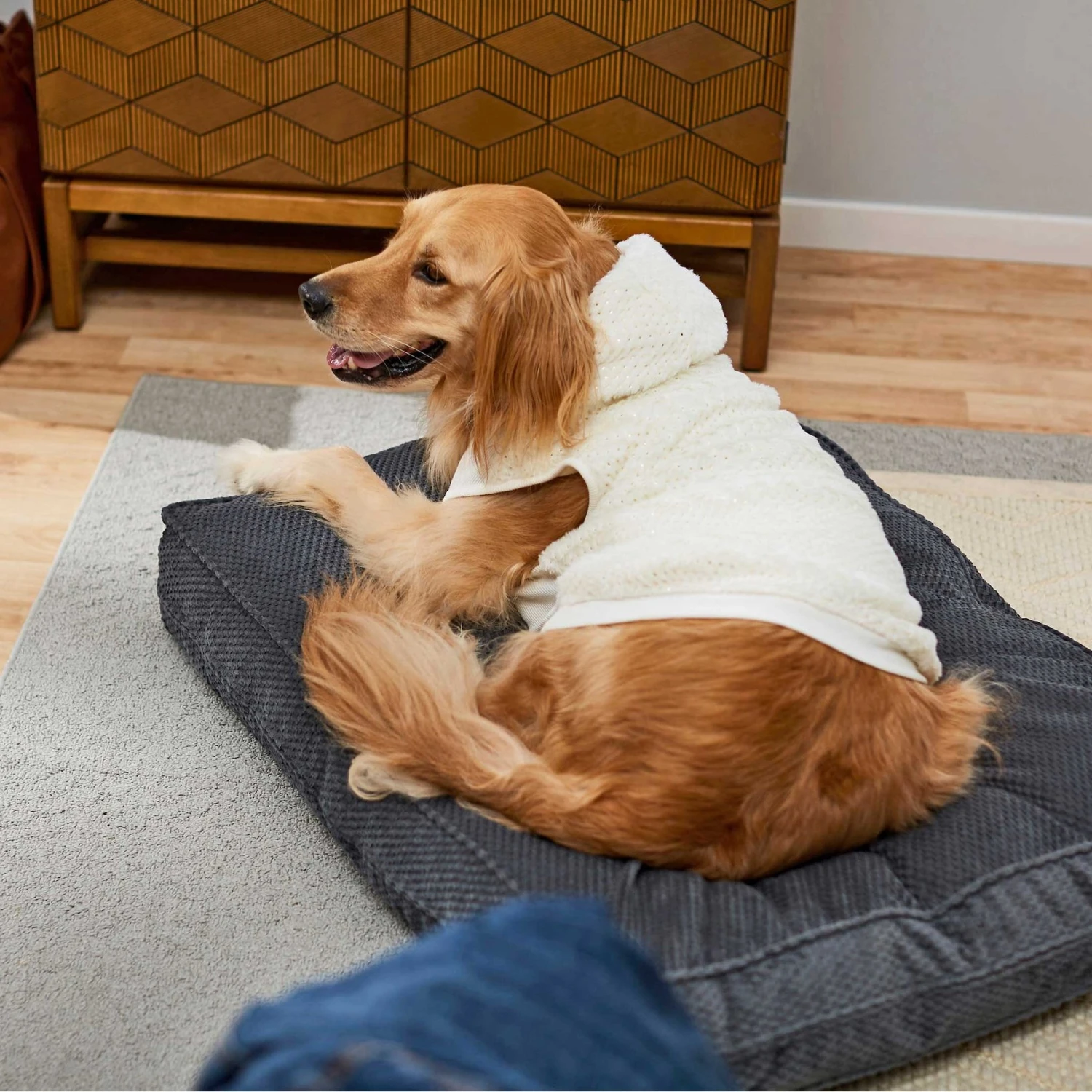 Frisco Plush Fur Dog & Cat Hoodie 10 Frisco Plush Fur Dog & Cat Hoodie - Image 8