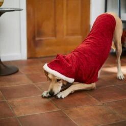 Frisco Textured Knit Dog & Cat Hoodie -Pawfect Care 224233 PT7. AC SS1800 V1601578309