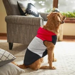 Frisco Colorblock Dog & Cat Sleeveless Hoodie -Pawfect Care 224263 PT6. AC SS1800 V1637685778