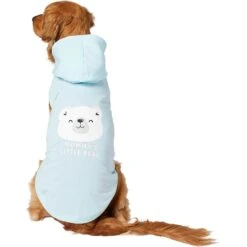 Frisco Mommy's Little Bear Dog & Cat Hoodie -Pawfect Care 224272 PT2. AC SS1800 V1637691116