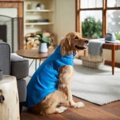 Frisco Ultra Lightweight Basic Dog & Cat Fleece Vest -Pawfect Care 224316 PT7. AC SS1800 V1599924439