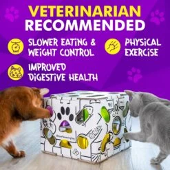 Cat Amazing Sliders Interactive Treat Maze & Puzzle Cat Toy -Pawfect Care 225050 PT4. AC SS1800 V1583528890