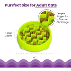 Petstages Kitty Slow Feeder 13 Petstages Kitty Slow Feeder -Pawfect Care 227086 PT4. AC SS1800 V1700515751