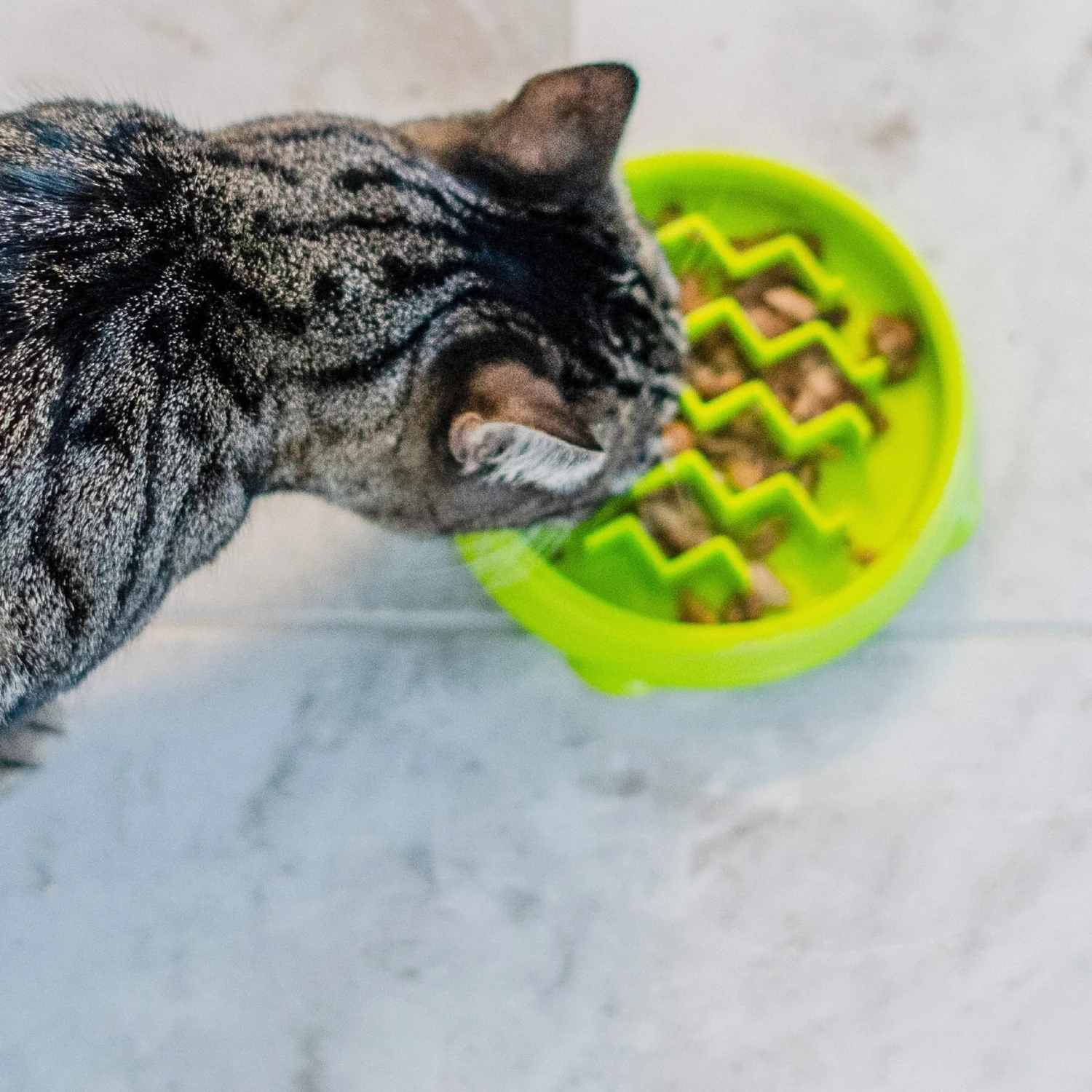 Petstages Kitty Slow Feeder 8 Petstages Kitty Slow Feeder - Image 6