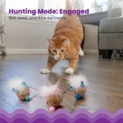 Catstages Mousin' Around Hide 'N Treat Dispenser Cat Toy, 3 Count -Pawfect Care 227096 PT2. AC SS1800 V1636513396