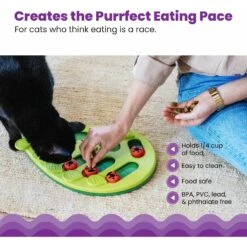 Nina Ottosson By Outward Hound Buggin' Out Puzzle & Play Cat Toy -Pawfect Care 227098 PT3. AC SS1800 V1636511821