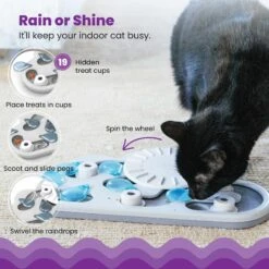 Nina Ottosson By Outward Hound Rainy Day Puzzle & Play Cat Toy -Pawfect Care 227102 PT2. AC SS1800 V1636499789