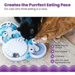 Nina Ottosson By Outward Hound Rainy Day Puzzle & Play Cat Toy -Pawfect Care 227102 PT3. AC SS1800 V1636513619