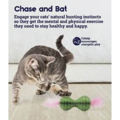 Catstages Honeycomb Hide-A-Ball Cat Toy With Catnip 9 Catstages Honeycomb Hide-A-Ball Cat Toy With Catnip -Pawfect Care 227104 PT2. AC SS1800 V1636501979