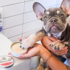 Skout's Honor Prebiotic Dog & Cat Balm -Pawfect Care 228607 PT4. AC SS1800 V1658219139