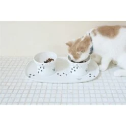 Necoichi Double Dining Tray Set & Elevated Cat Bowls -Pawfect Care 230660 PT5. AC SS1800 V1631312470