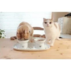 Necoichi Double Dining Tray Set & Elevated Cat Bowls -Pawfect Care 230660 PT6. AC SS1800 V1631311878