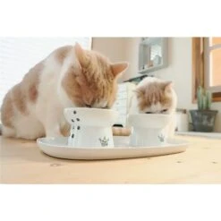Necoichi Double Dining Tray Set & Elevated Cat Bowls -Pawfect Care 230660 PT7. AC SS1800 V1631308915