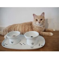 Necoichi Double Dining Tray Set & Elevated Cat Bowls -Pawfect Care 230660 PT8. AC SS1800 V1631312193