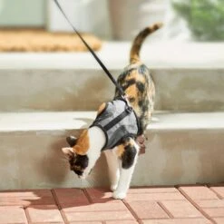 Frisco Wrap Cat Harness -Pawfect Care 230691 PT5. AC SS1800 V1601096758