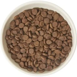 Frisco Double-Sided Ceramic Elevated Cat Bowl -Pawfect Care 232081 PT3. AC SS1800 V1605145964