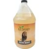 EZ Groom Filthy Beast Dog & Cat Shampoo, 1-gal Bottle -Pawfect Care 232942 MAIN. AC SS1800 V1588023962