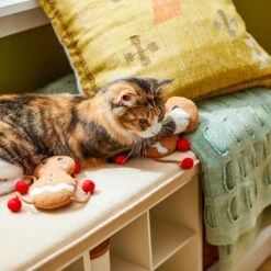 Frisco Holiday Gingerbread Pals Plush Kicker Cat Toy With Catnip, 2 Count 9 Frisco Holiday Gingerbread Pals Plush Kicker Cat Toy With Catnip, 2 Count -Pawfect Care 233303 PT2. AC SS1800 V1602172387