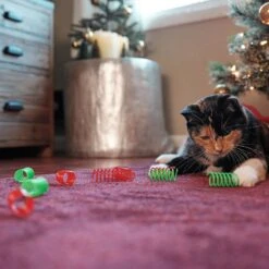 Frisco Holiday Springs Cat Toy, 10 Count -Pawfect Care 233307 PT2. AC SS1800 V1602172363