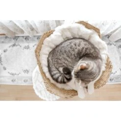 Mau Lifestyle Uni 41-in Faux Fur Basket Bed Cat Tree -Pawfect Care 235558 PT7. AC SS1800 V1632781669