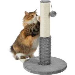 Frisco 21-in Sisal Cat Scratching Post With Toy & Groomer -Pawfect Care 236533 PT2. AC SS1800 V1615987395