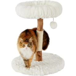 Frisco Natural Wood Modern Cat Tree With Toy, Ivory, Small -Pawfect Care 236559 PT2. AC SS1800 V1615987338