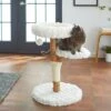 Frisco Natural Wood Modern Cat Tree With Toy, Ivory, Medium -Pawfect Care 236561 MAIN. AC SS1800 V1616521947