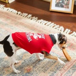 Frisco Love Machine Dog & Cat T-shirt -Pawfect Care 238160 PT6. AC SS1800 V1608595661